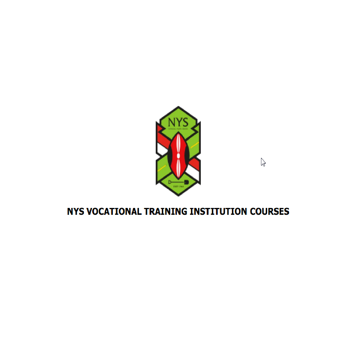 NYS courses offered