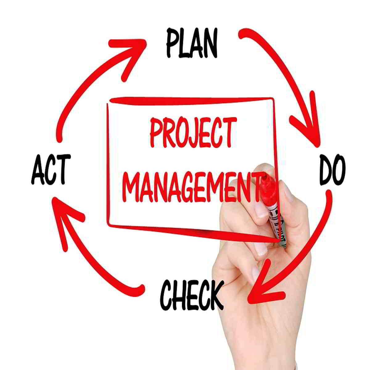 Is project management marketable in Kenya