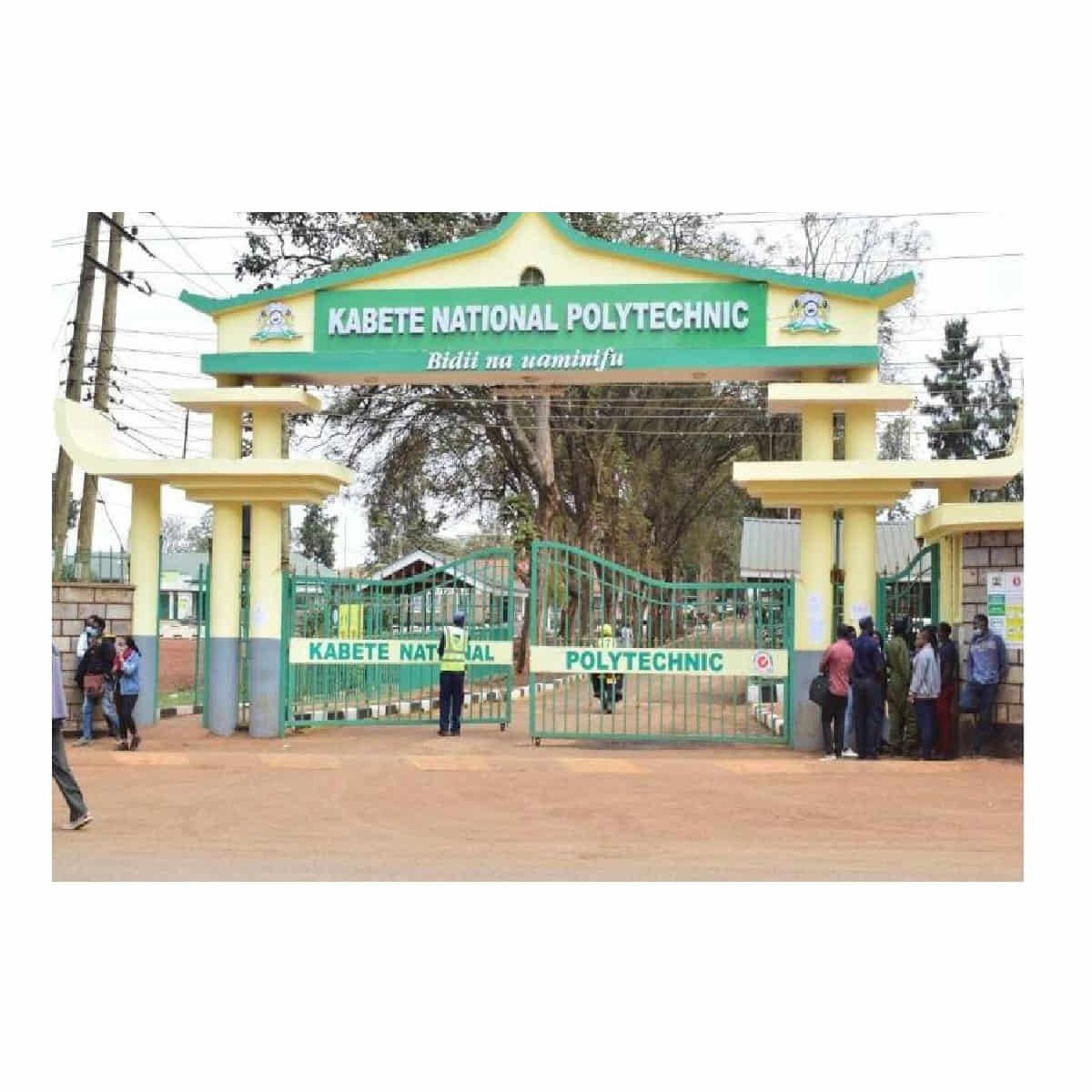 Kabete national polytechnic courses and requirements