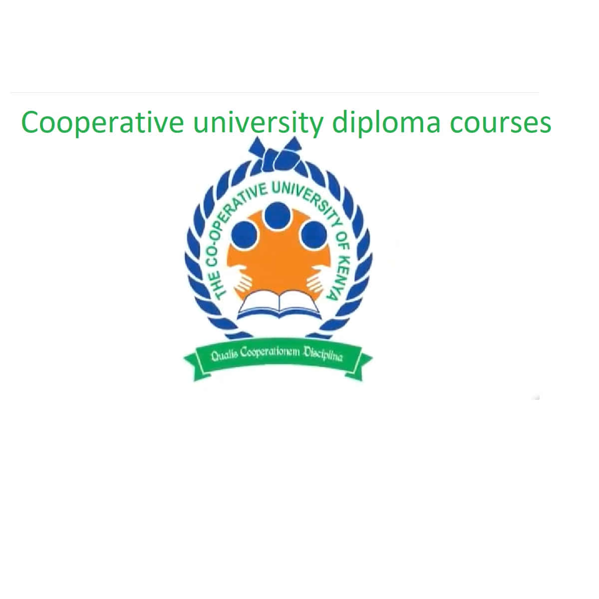 Cooperative university diploma courses
