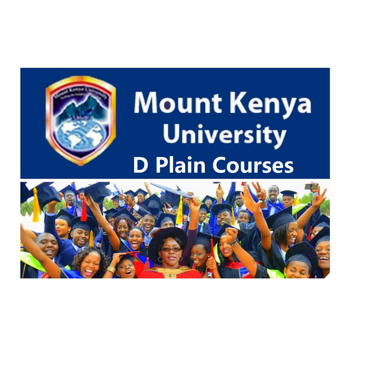D plain courses in Mount Kenya University.