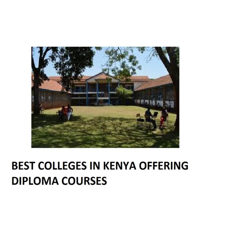 Best Colleges In Kenya Offering Diploma Courses 768x768 