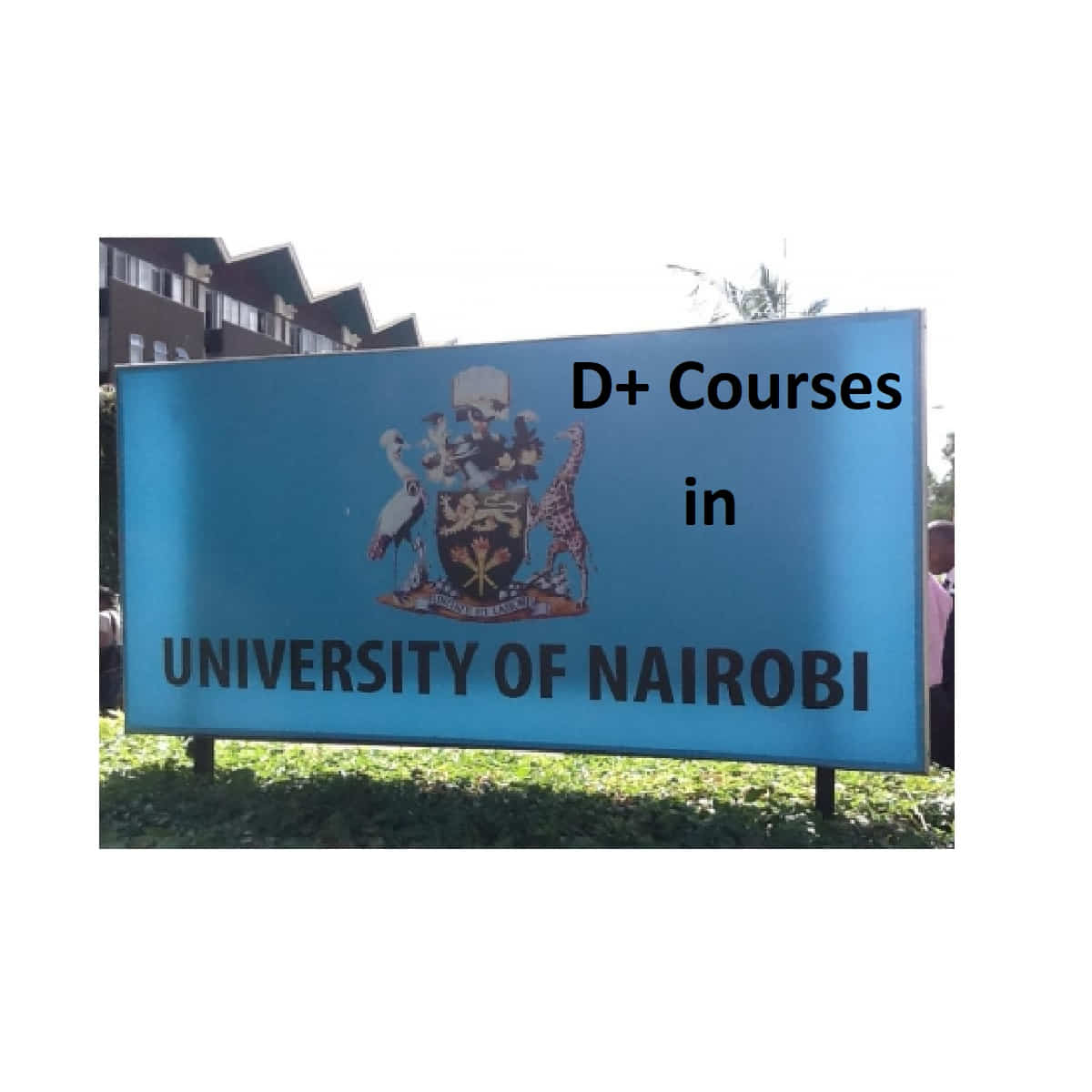 D courses in university of Nairobi