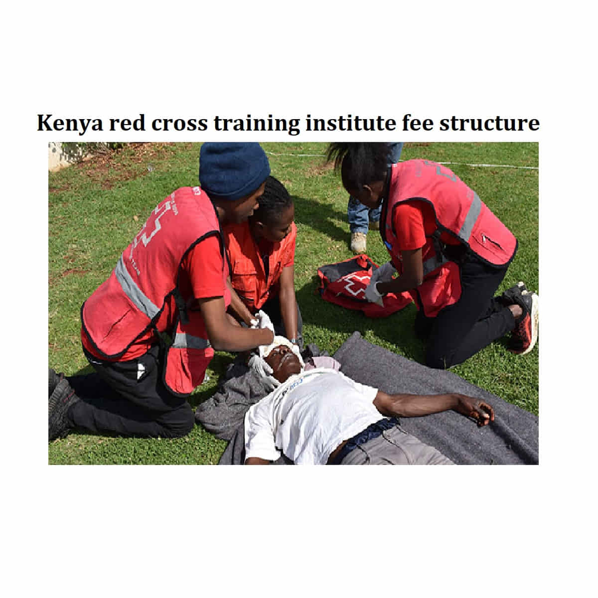 Kenya red cross training institute fee structure