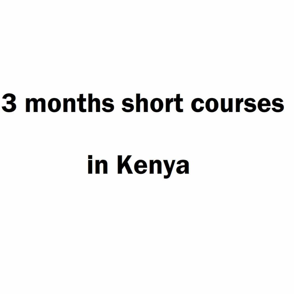 3 months short courses in Kenya Kenya Education Guide
