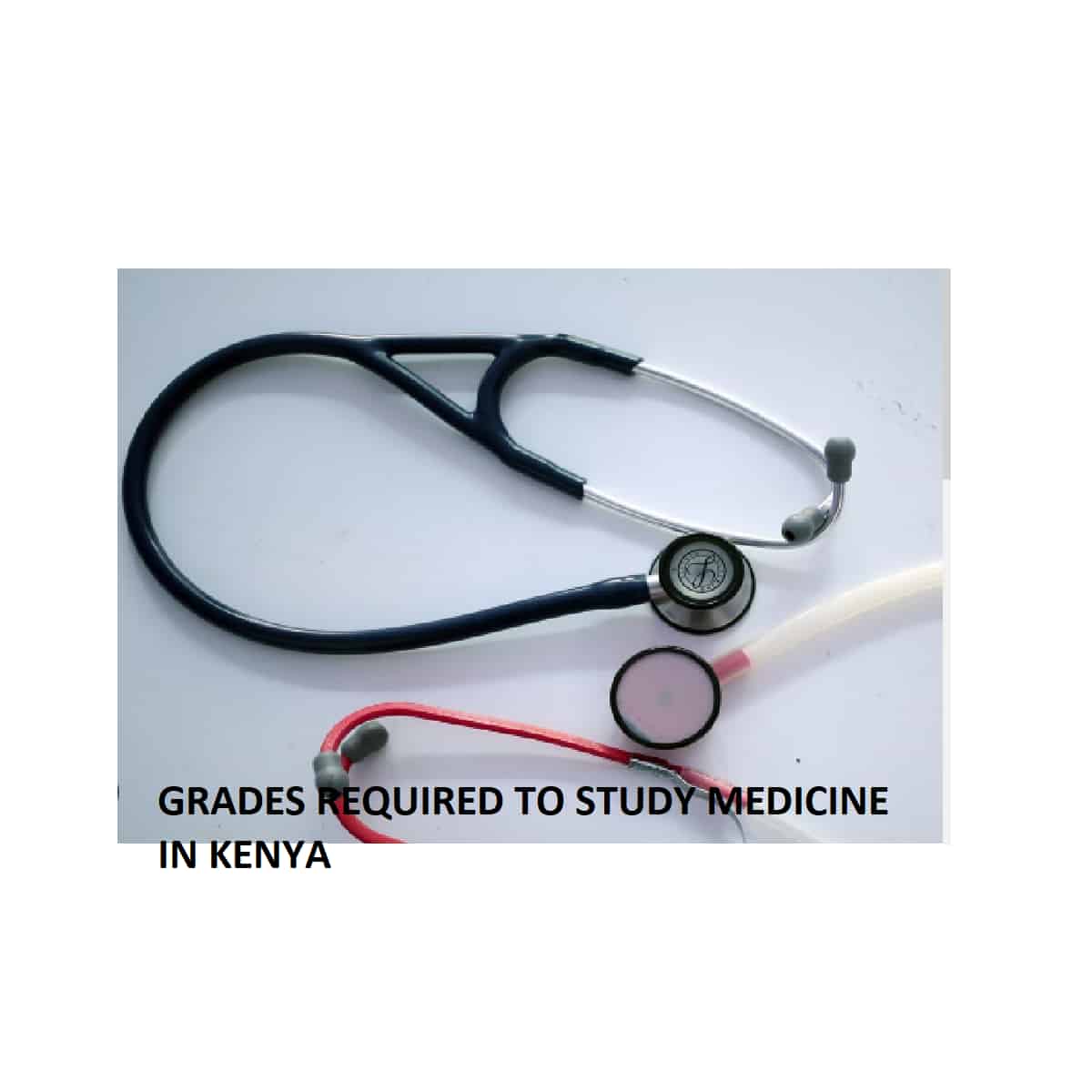 What Grades do You Need to Study Medicine in Kenya