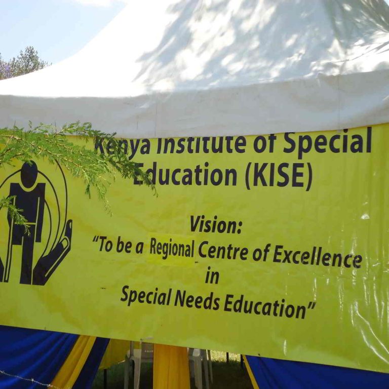 colleges-offering-diploma-in-special-needs-education-in-kenya-updated