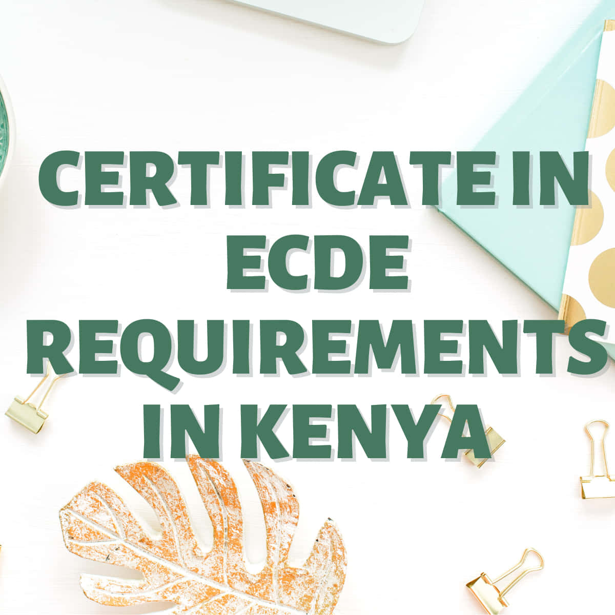 Certificate in ECDE requirements