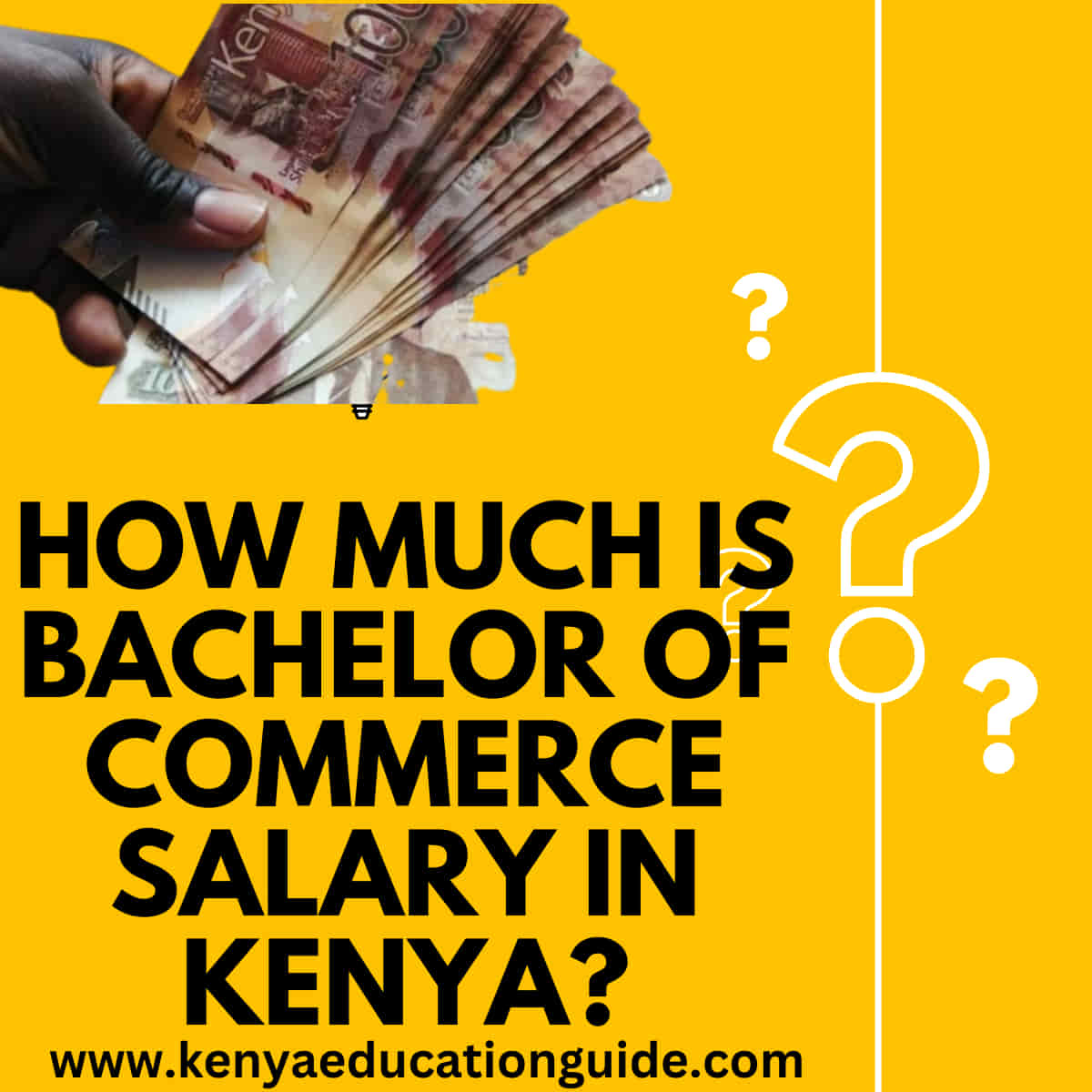 Bachelor of commerce salary in Kenya