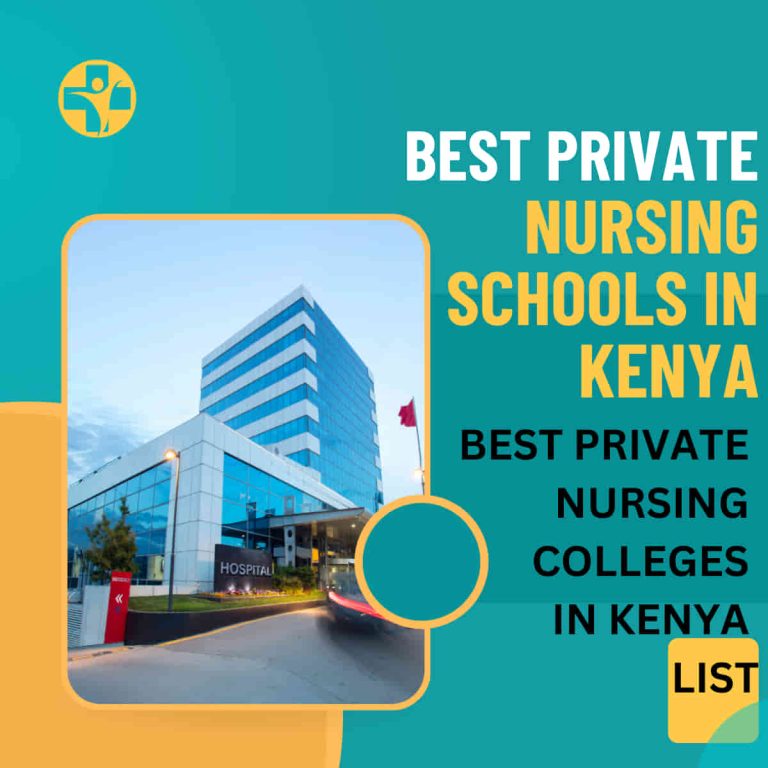 Best Private Nursing Schools In Kenya 1 768x768 