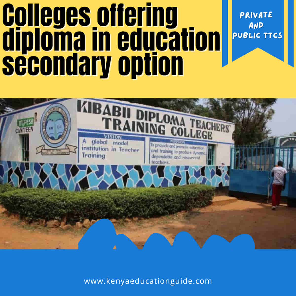 Colleges offering diploma in education secondary option