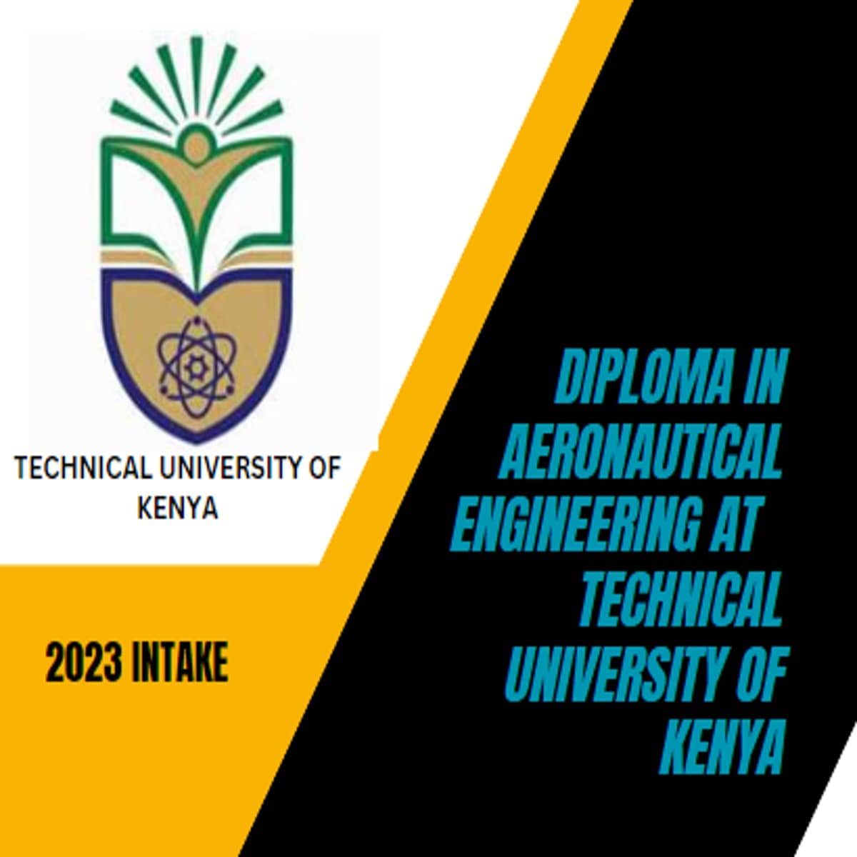 Diploma in Aeronautical Engineering in Technical University of Kenya
