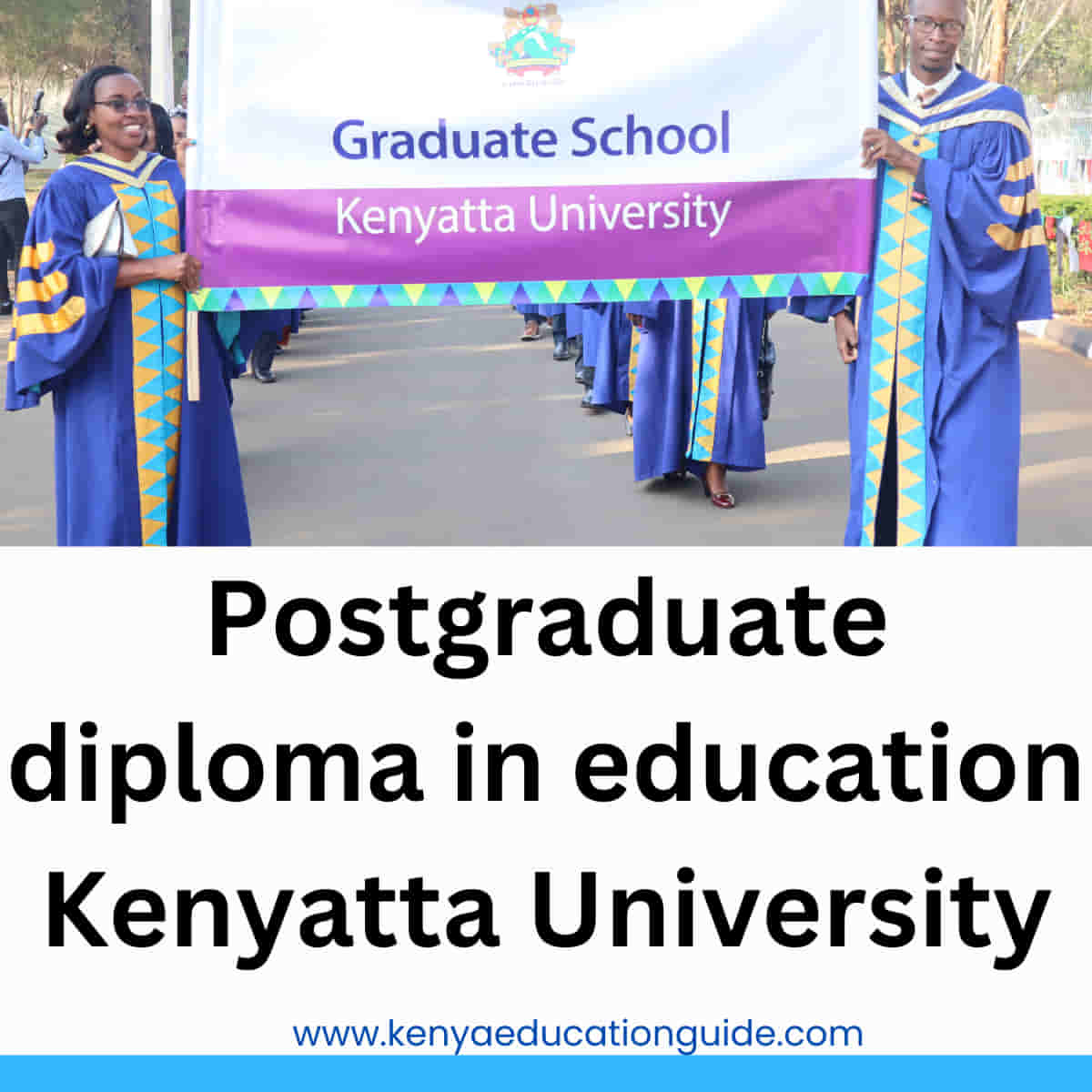 Postgraduate diploma in education Kenyatta University