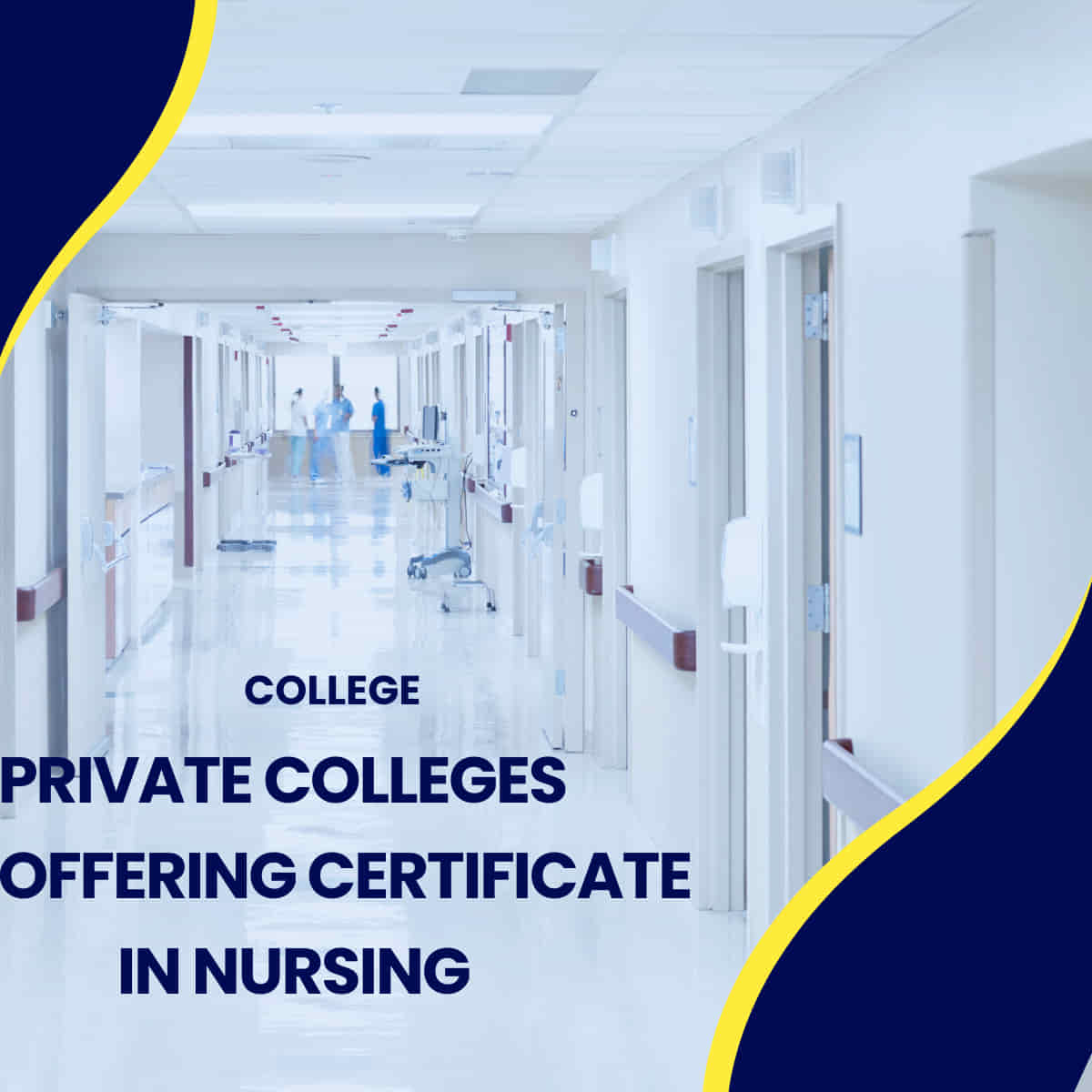 Private colleges offering certificate in nursing
