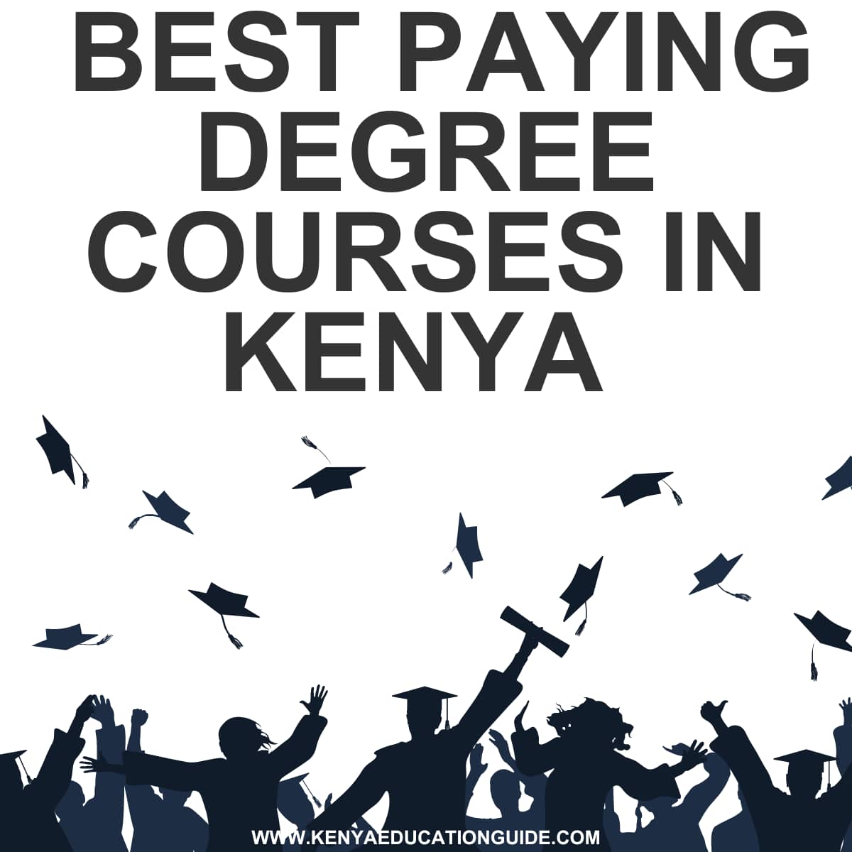 Best Paying Degree Courses in Kenya