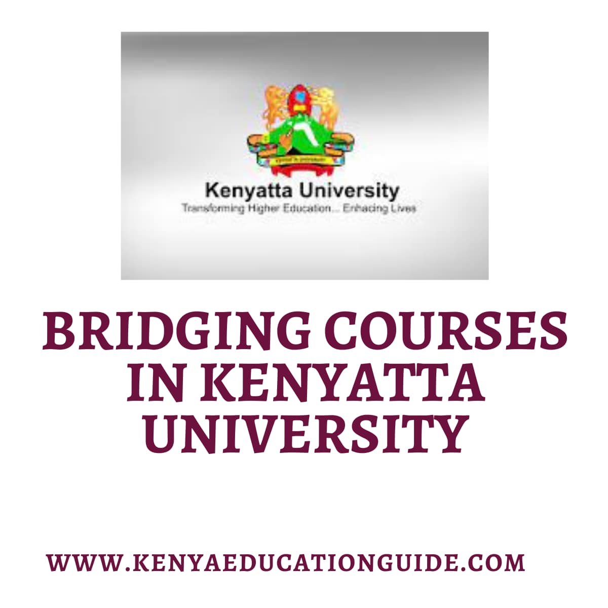 Bridging Courses in Kenyatta University