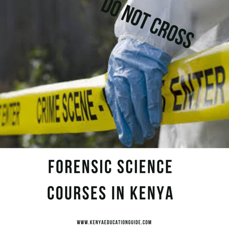 Forensic Science Courses In Kenya [all You Need To Know] Kenya Education Guide