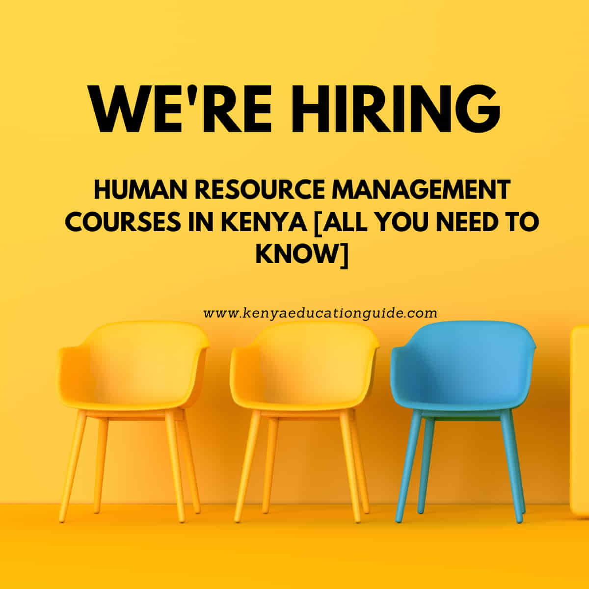 Human resource management courses in Kenya [All you need to know]