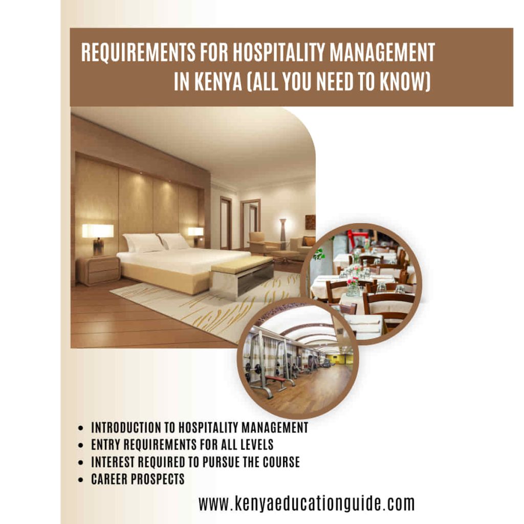 Requirements for hospitality management in Kenya [All you need to know ...