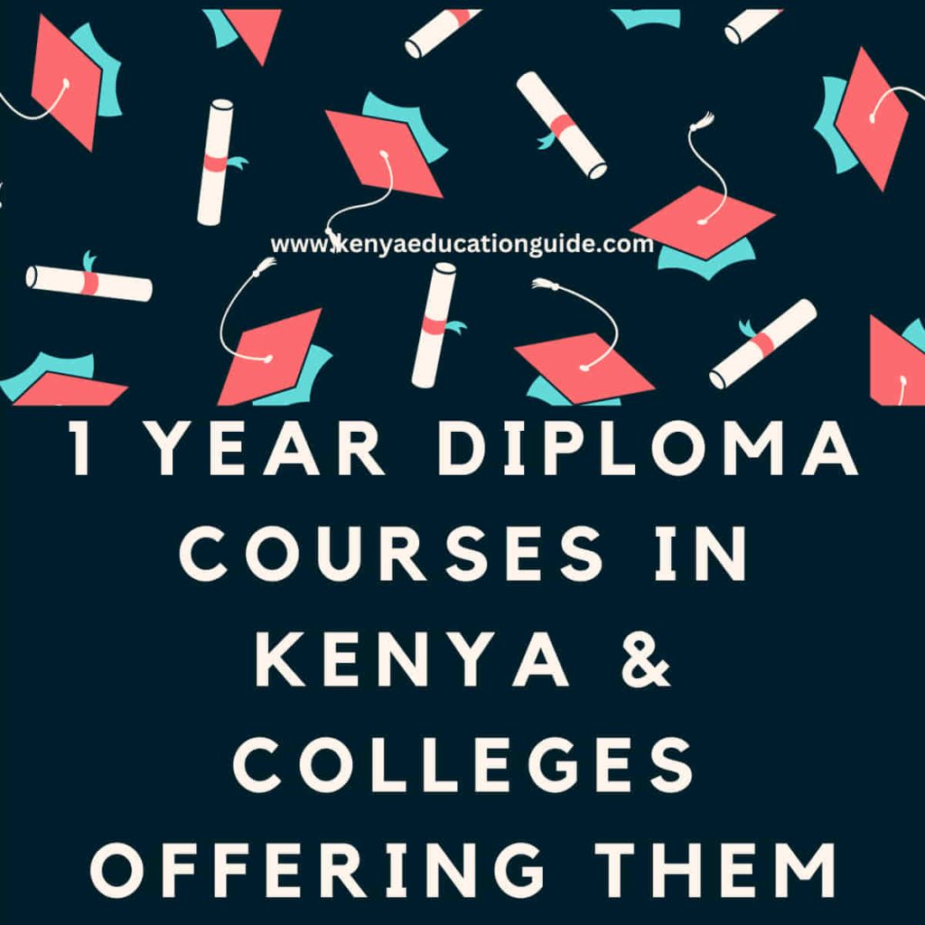 diploma courses in education kenya