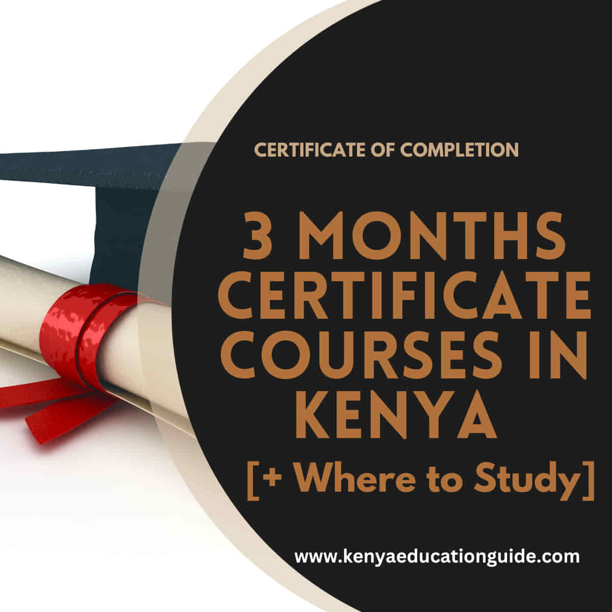3 months certificate courses in Kenya