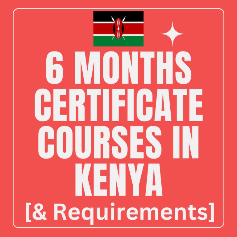 6 Months Certificate Courses In Kenya & Colleges Offering Them - Kenya ...