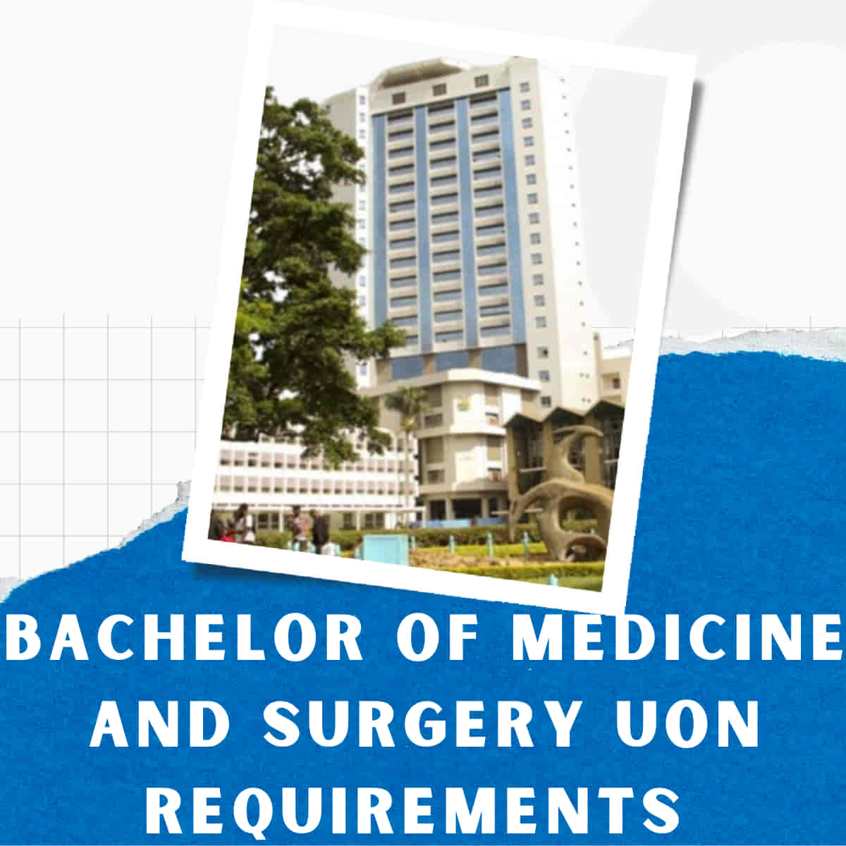 Bachelor of Medicine and Surgery UON requirements