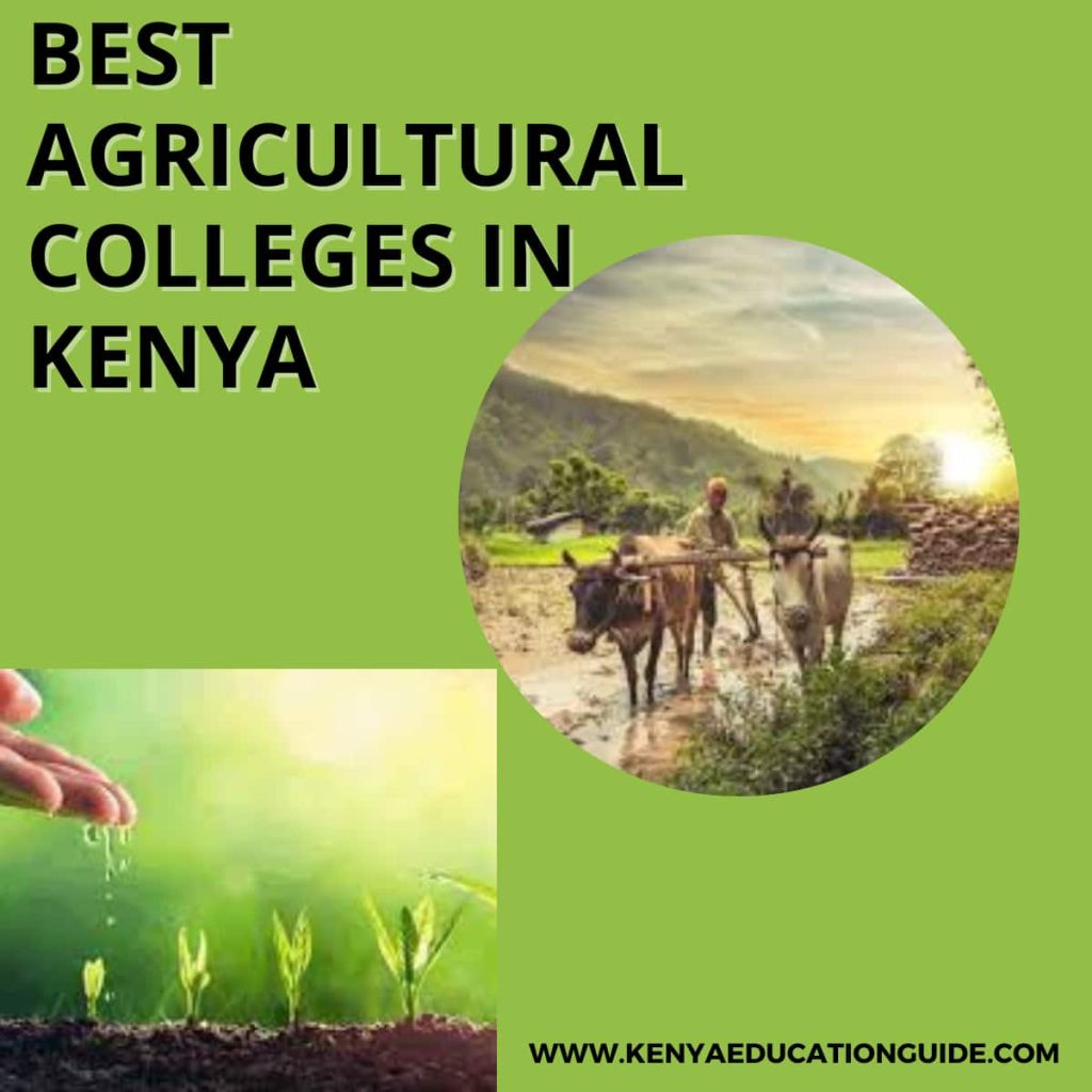 Best Agricultural Colleges In Kenya [Top10 Best Agricultural Colleges ...