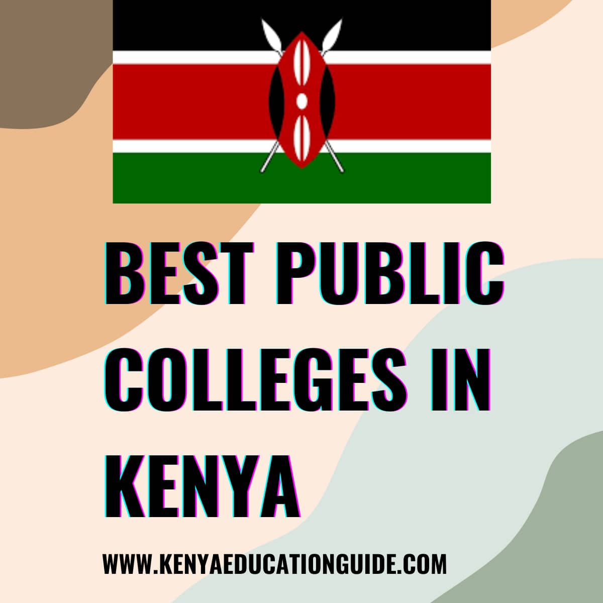 Best Public Colleges in Kenya
