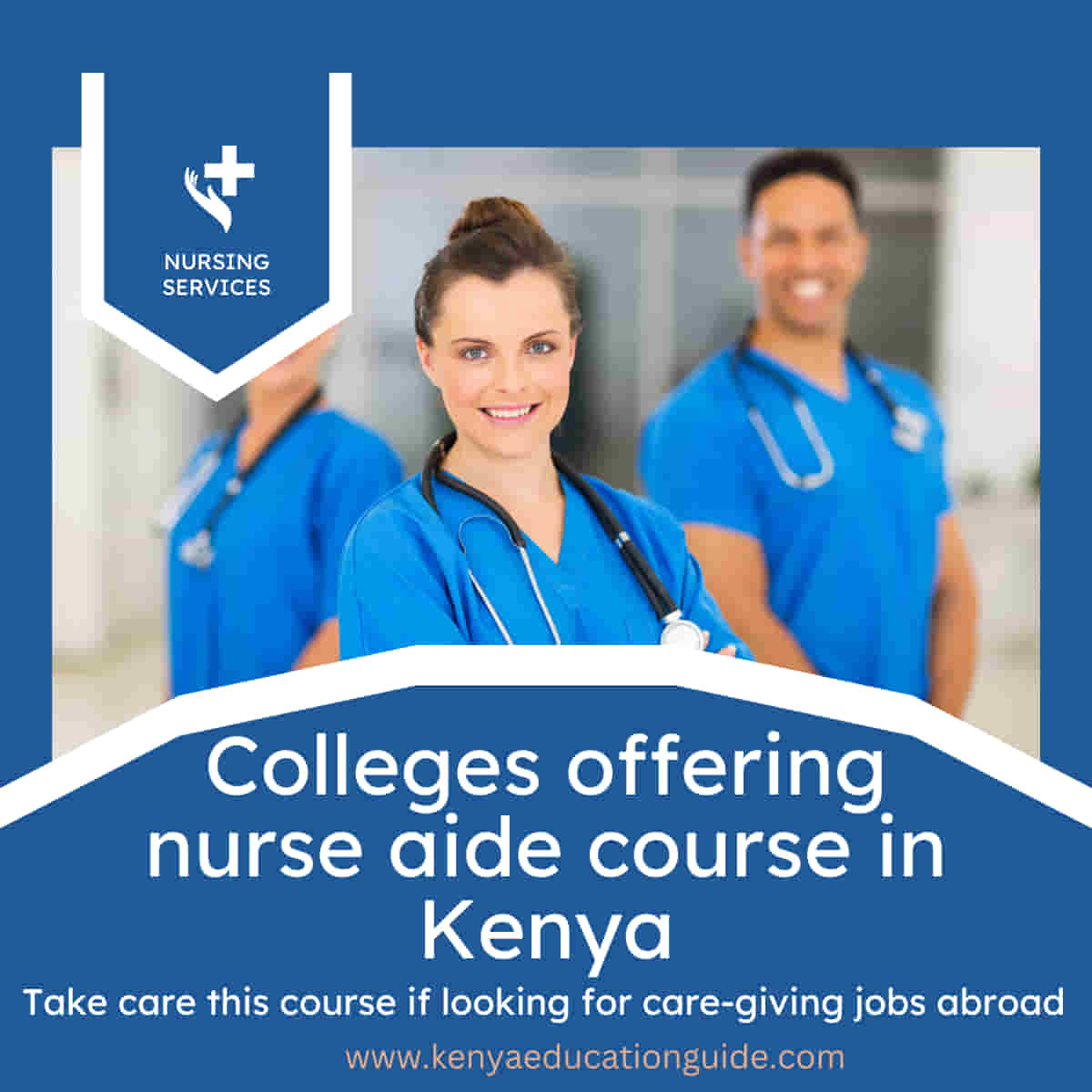 Colleges offering nurse aide course