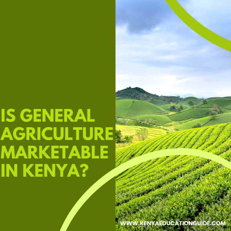 Is general agriculture marketable in Kenya? - Kenya Education Guide