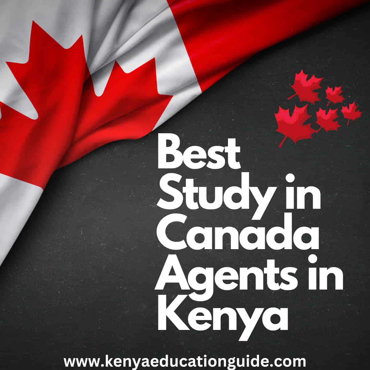 study in Canada agents in Kenya
