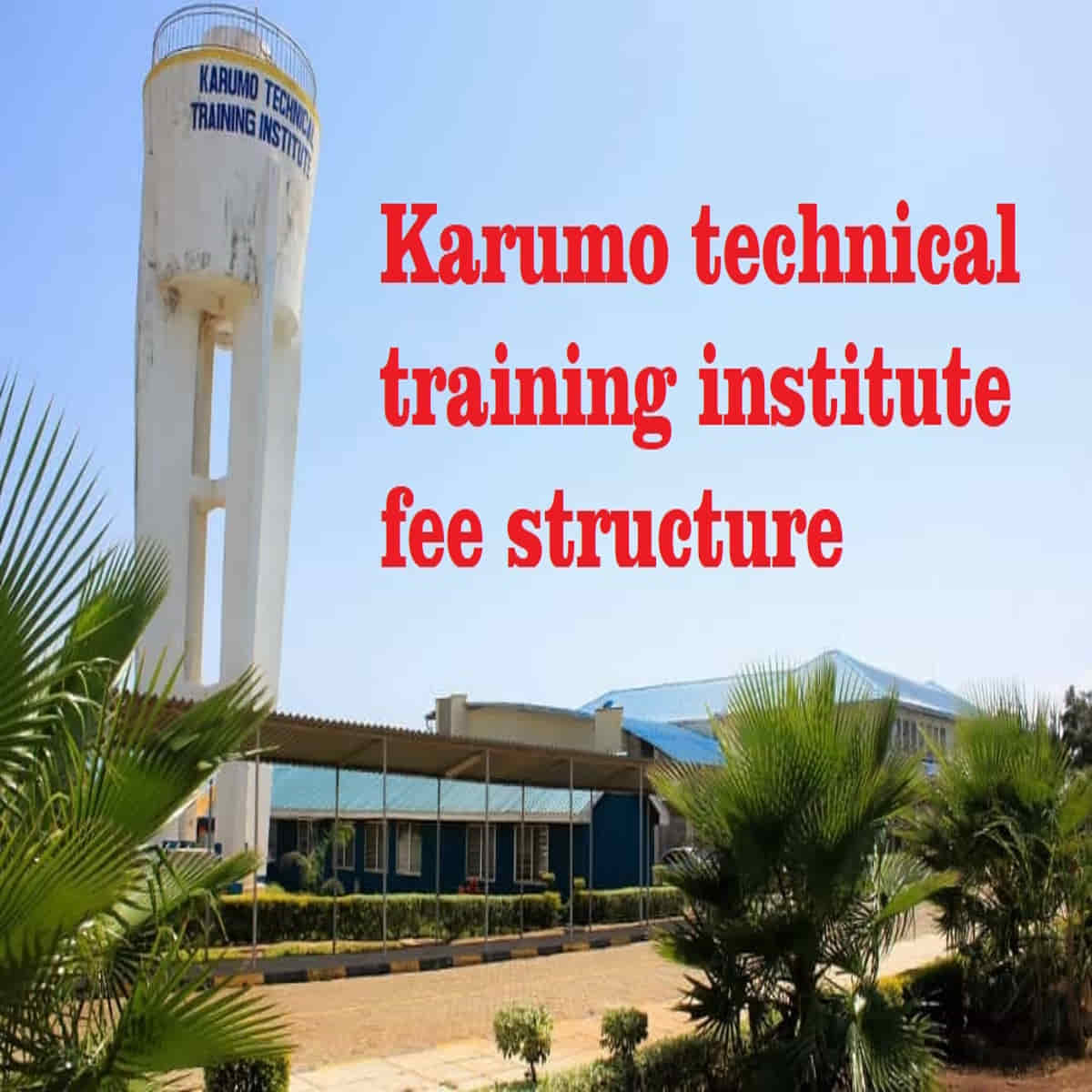 Karumo technical training institute fee structure