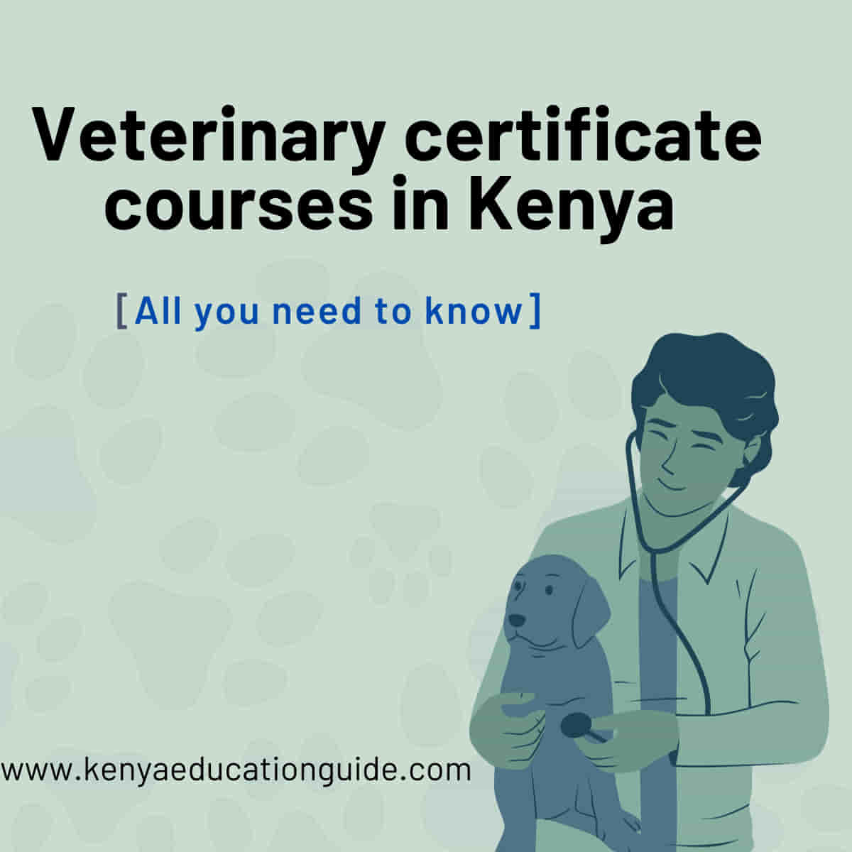 Veterinary certificate courses in Kenya [All you need to know]