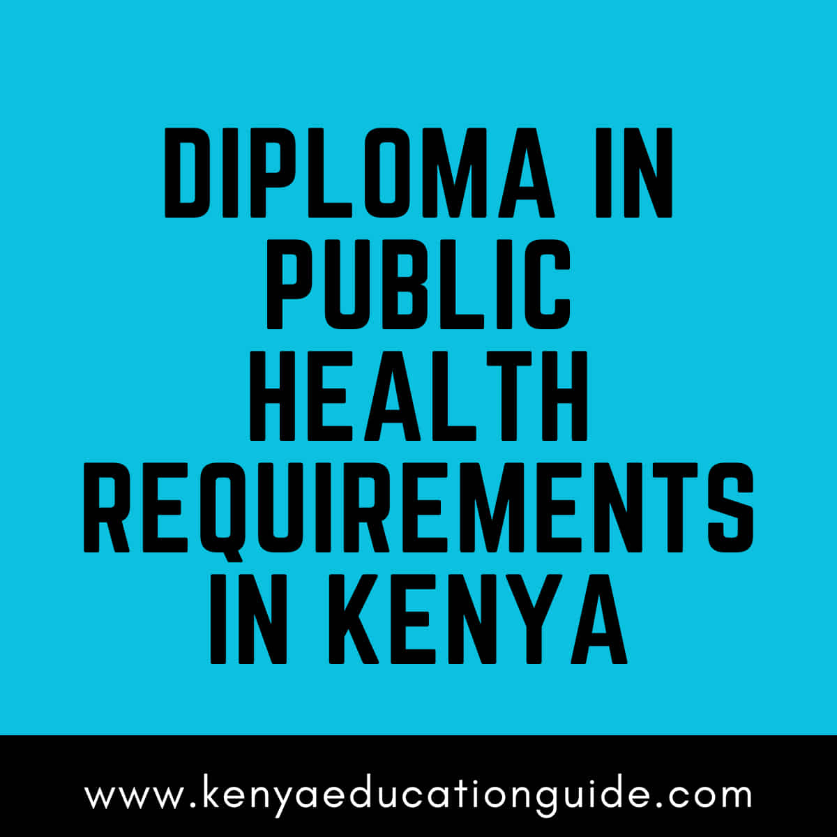 Diploma in public health requirements in Kenya