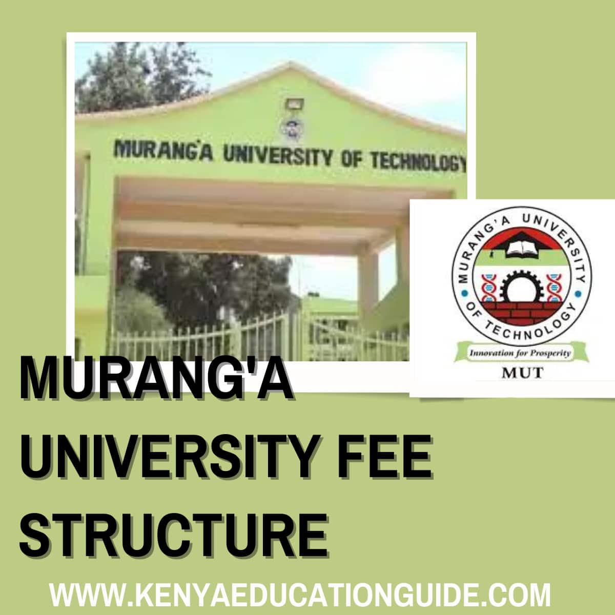 Murang’a University Fee Structure