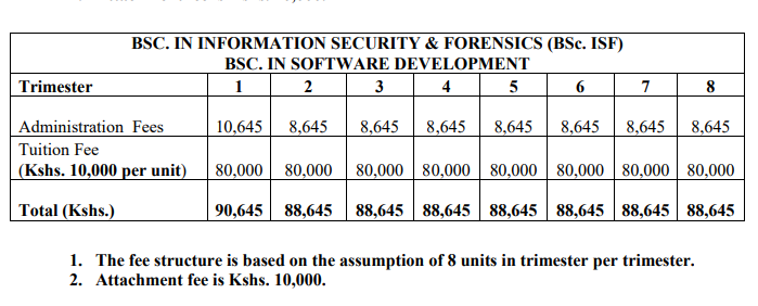 degree in cyber security in kenya
