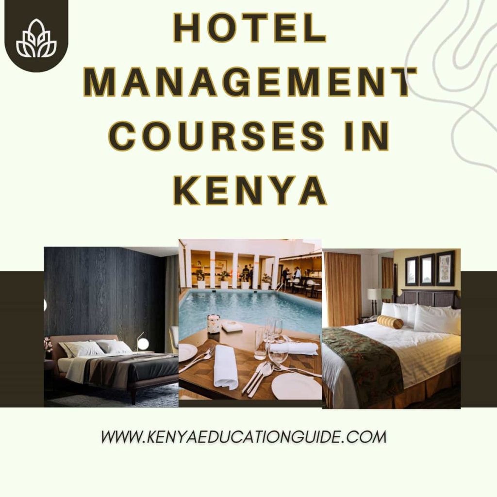 hotel-management-courses-in-kenya-all-you-need-to-know-kenya