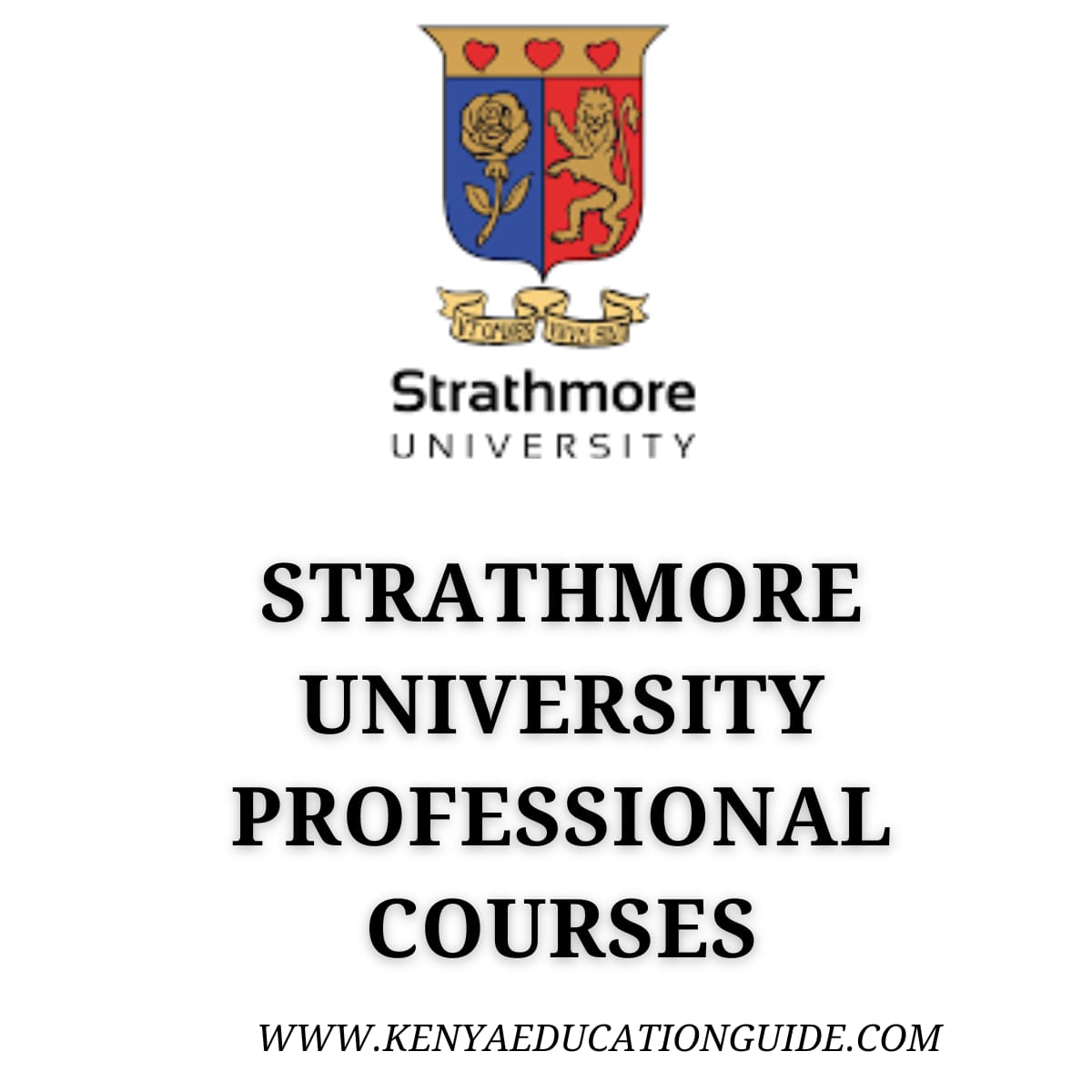 Strathmore University Professional Courses