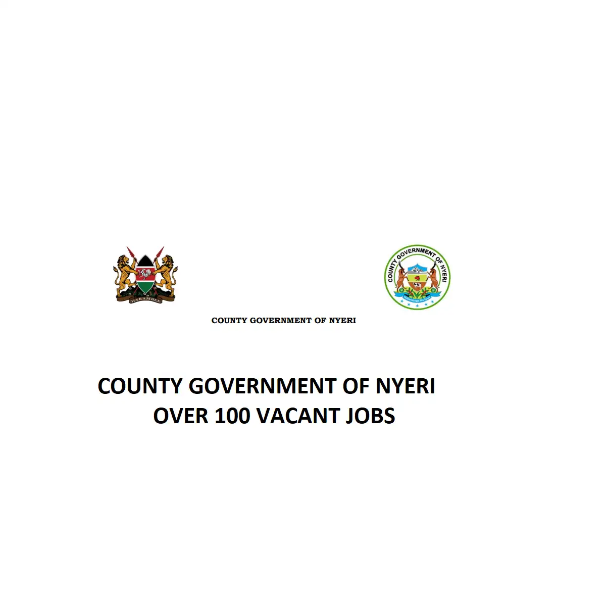 COUNTY GOVERNMENT OF NYERI JOBS